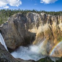 Yellowstone: oaza wolności